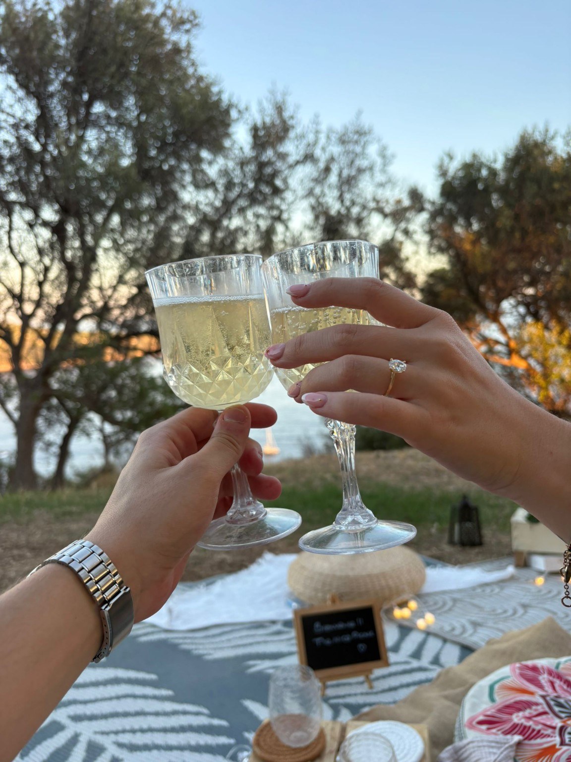 Champagne toast over a Nice Picnic table by the water