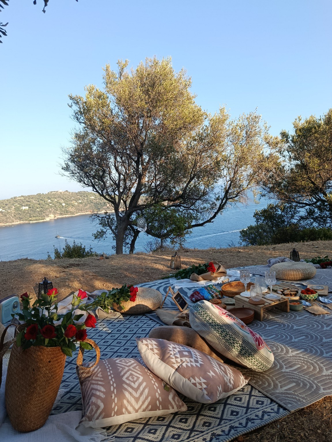 Golden light over an olive-tree picnic setup above the Mediterranean